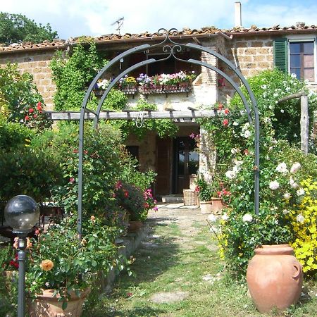 Le Querciolaie Monte Cavallo - Upper Apartment Saturnia Eksteriør bilde