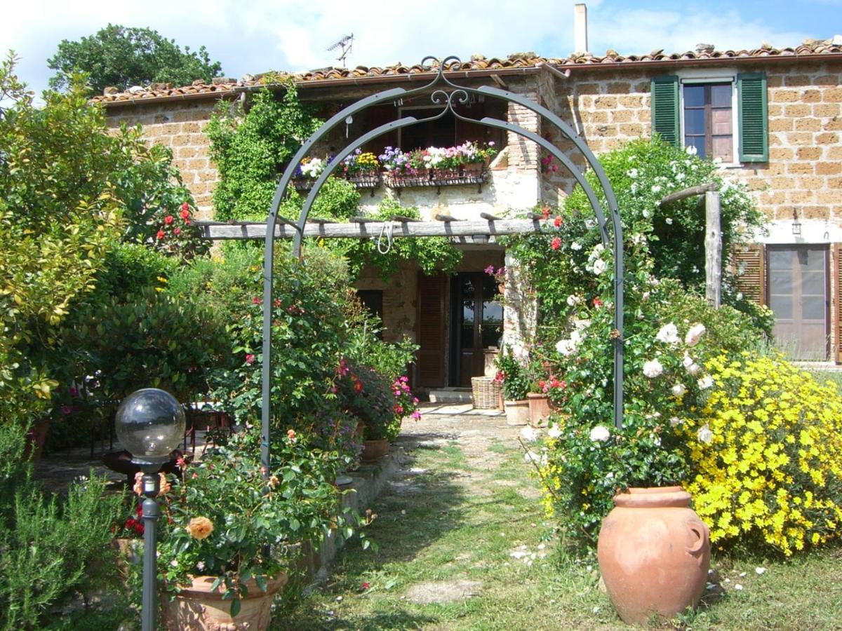 Le Querciolaie Monte Cavallo - Upper Apartment Saturnia Eksteriør bilde