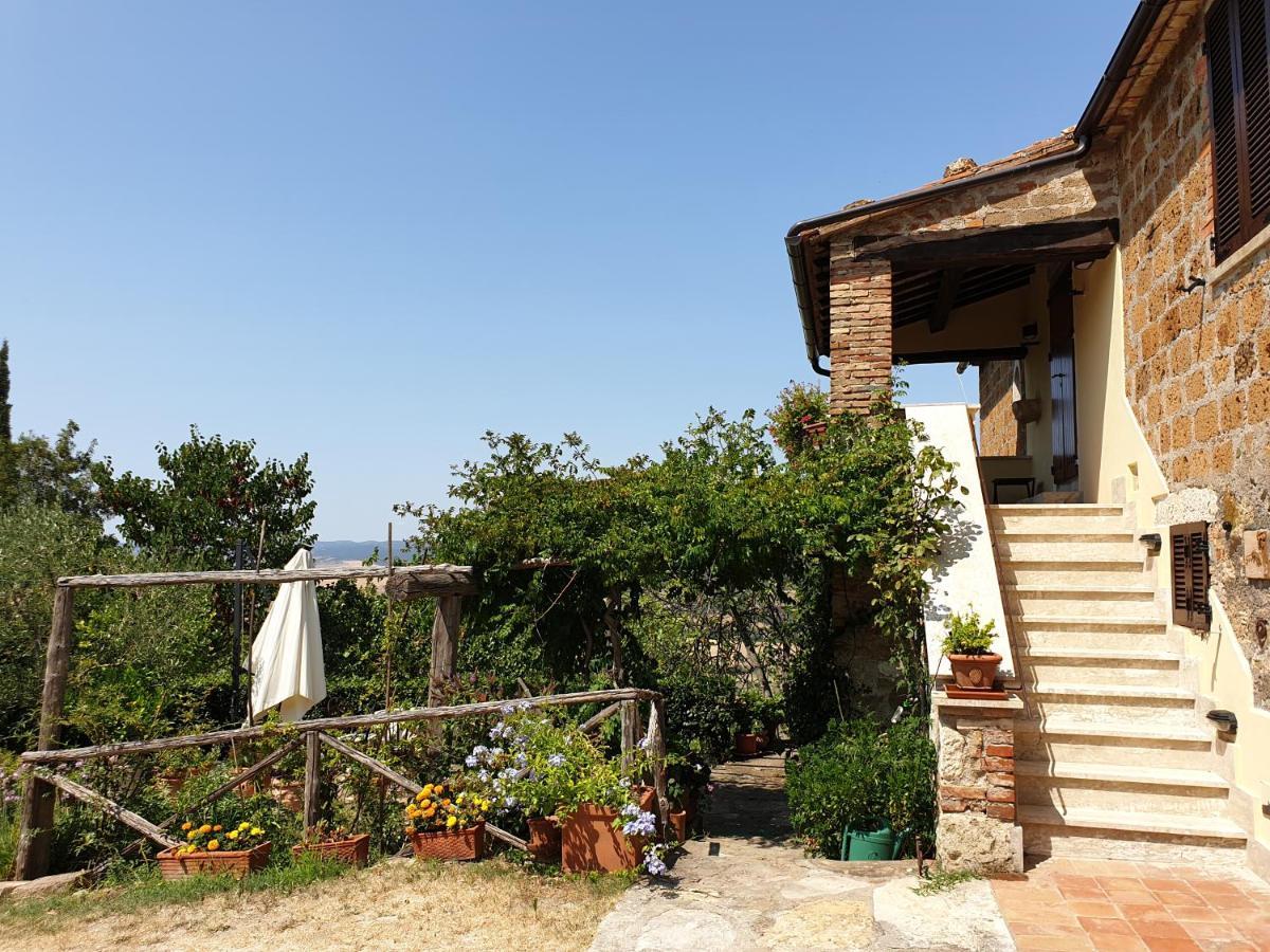 Le Querciolaie Monte Cavallo - Upper Apartment Saturnia Eksteriør bilde