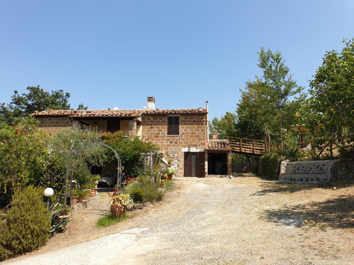 Le Querciolaie Monte Cavallo - Upper Apartment Saturnia Eksteriør bilde